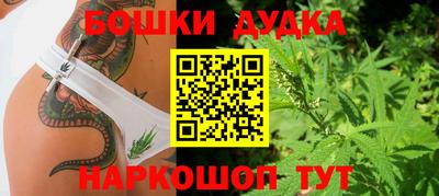 шишки Нягань