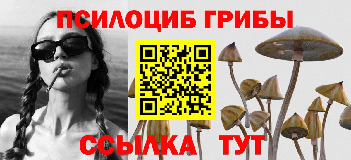 Трёхгорный  Псилоцибиновые грибы мухоморы  Вход с VPN  Псилоцибиновые грибы Psilocybe 